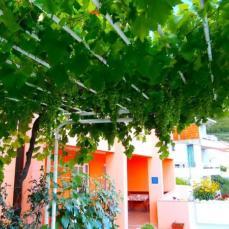 公寓 Milena-miki 马卡尔斯卡