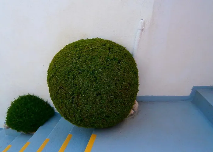 Milena-miki Apartamento *